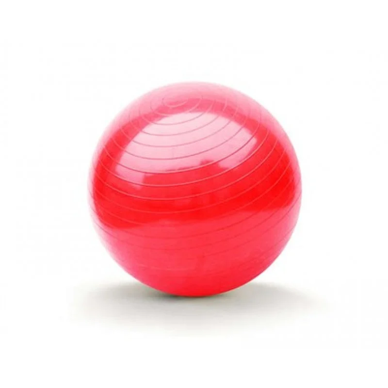 Značkový SPORTWELL Gymnastický míč 65cm 52YB65